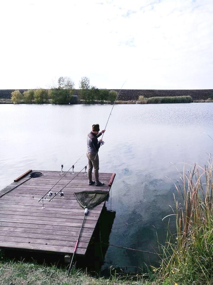 Bila 2 4 - 5 noiembrie 2017 - 2a.jpg